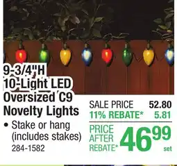 Menards 9-3/4H 10-Light LED Oversized C9 Novelty Lights offer