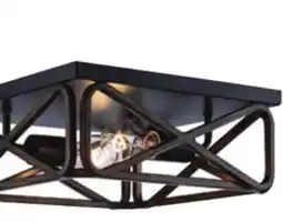 Menards 2-Light Ceiling offer