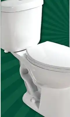 Menards Michigan Tall Elongated Toilet offer