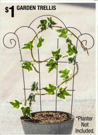 Garden Trellis