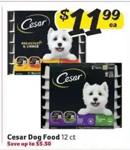Winn Dixie Cesar Dog Food offer