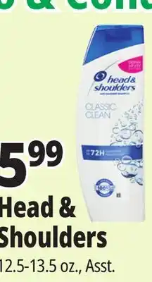 Ocean State Job Lot Head & Shoulders offer
