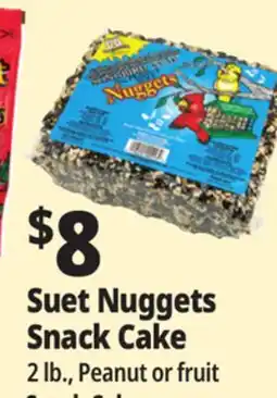 Ocean State Job Lot Suet Nuggets Snack Cakes offer