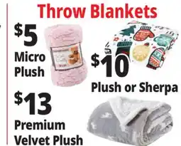 Ocean State Job Lot Throw Blankets offer