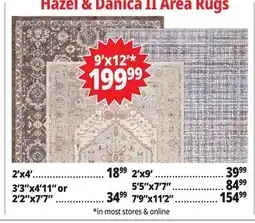 Ocean State Job Lot Hazel & Danica Rugs offer