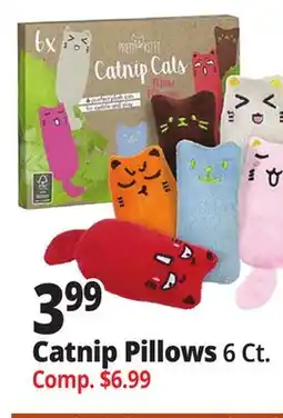 Ocean State Job Lot Catnip Pillows offer