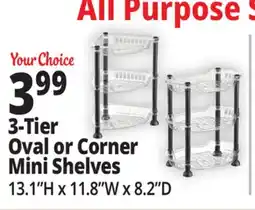 Ocean State Job Lot 3-Tier Oval or Corner Mini Shelves offer