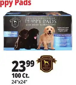 Ocean State Job Lot Huntington Pet Products Professional Grade 24 x 24 Puppy Pads with Odor Eliminators 100 Count offer