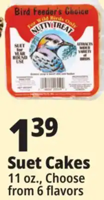 Ocean State Job Lot Bird Feeder's Choice High Energy Suet 11 oz offer