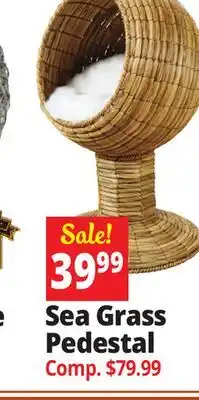 Ocean State Job Lot Sea Grass Pedestal offer