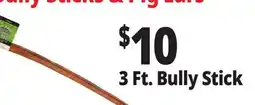 Ocean State Job Lot 3 Ft. Bully Stick offer
