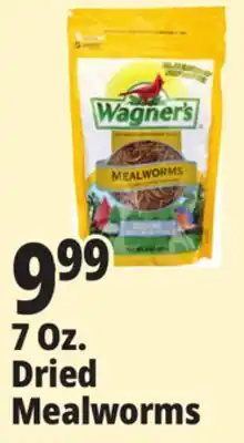 Ocean State Job Lot Wagner's Bird Meal Worms 7oz offer