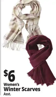 Ocean State Job Lot Women's Winter Scarves offer