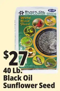 Ocean State Job Lot Black Oil Sunflower Seeds offer