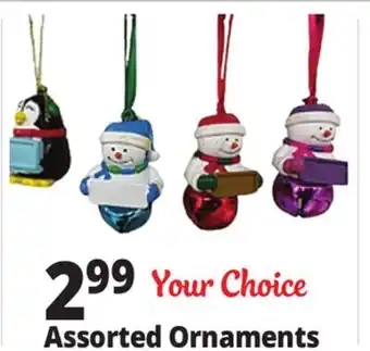 Ocean State Job Lot Assorted Ornaments offer