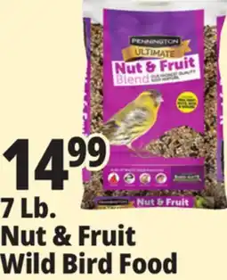 Ocean State Job Lot Pennington Ultimate Nut & Fruit Blend Wild Bird Seed offer