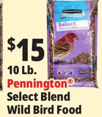 Ocean State Job Lot Pennington Premium Select Blend Bird Seed 10 lb offer