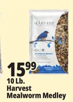 Ocean State Job Lot 10 Lb. Harvest Harvest Mealworm Medley offer