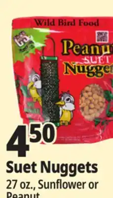 Ocean State Job Lot C&S Sunflower Suet Nuggets 27 oz offer