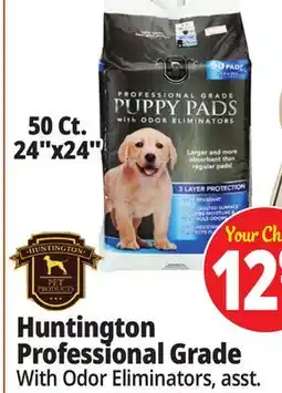 Ocean State Job Lot 24x24 Puppy Pads with Odor Eliminators 50 Count offer