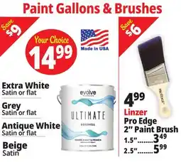 Ocean State Job Lot Paint Gallons & Brushes offer