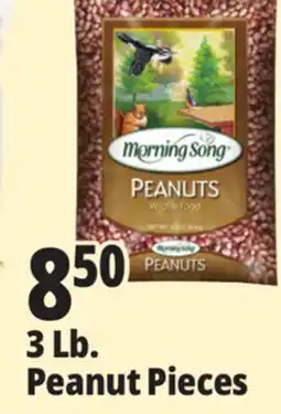 Ocean State Job Lot Morning Song Wildlife Food Peanuts 3 lbs offer