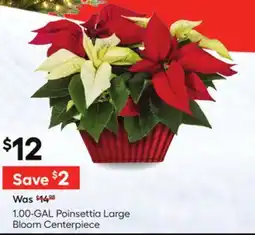 Lowe's 1.00-GAL Poinsettia Large Bloom Centerpiece offer