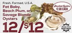 DeCicco & Sons Fat Baby Beach Plum, or Savage Blonde Oysters offer