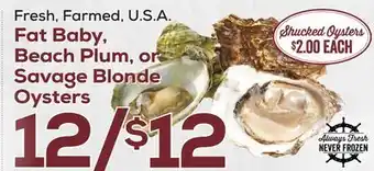 DeCicco & Sons Fat Baby Beach Plum, or Savage Blonde Oysters offer
