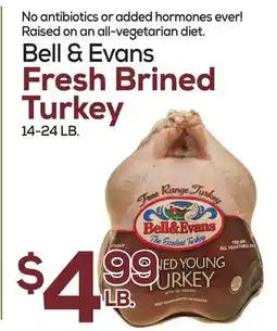 DeCicco & Sons Bell & Evans Fresh Brined Turkey offer