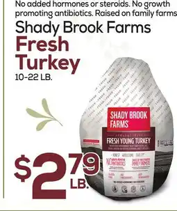 DeCicco & Sons Shady Brook Farms Fresh Turkey offer