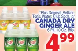 Bravo Supermarkets CANADA DRY GINGER ALE offer