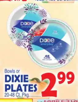 Bravo Supermarkets DIXIE PLATES offer
