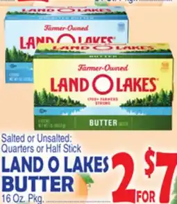 Bravo Supermarkets LAND O LAKES BUTTER offer
