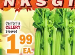 Bravo Supermarkets CELERY offer