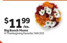 Stop&Shop Big Bunch Mums offer