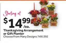 Stop&Shop Thanksgiving Arrangement or Gift Planter offer