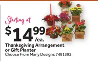Stop&Shop Thanksgiving Arrangement or Gift Planter offer