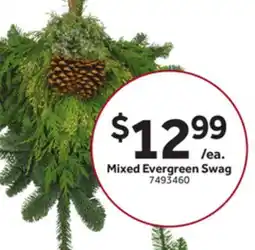 Stop&Shop Mixed Evergreen Swag offer