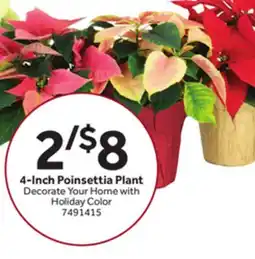 Stop&Shop 4-Inch Poinsettia Plant offer