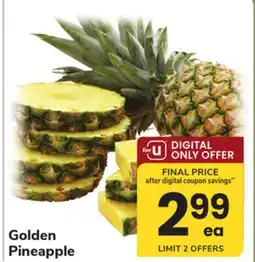 ACME Golden Pineapple offer