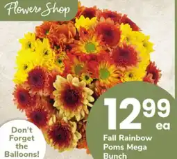 ACME Fall Rainbow Poms Bunch offer