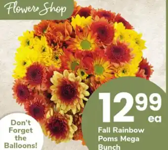 ACME Fall Rainbow Poms Bunch offer
