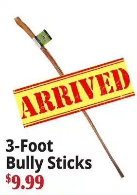 Ocean State Job Lot 3-Foot Bully Sticks offer