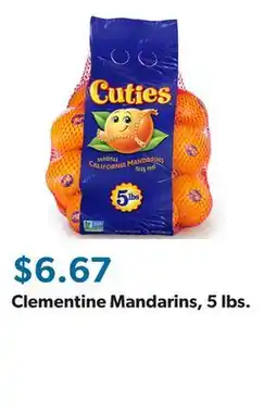 Sam's Club Clementine Mandarins, 5 lbs offer