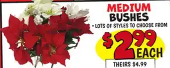 Ollie's MEDIUM BUSHES offer