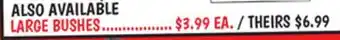 Ollie's LARGE BUSHES offer