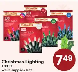 ACME Christmas Lighting offer