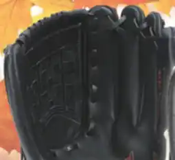 Big 5 Mizuno Shadow Series 12 GSH Professional Model Baseball Glove offer