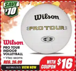 Big 5 Wilson Pro-Tour Volleyball offer